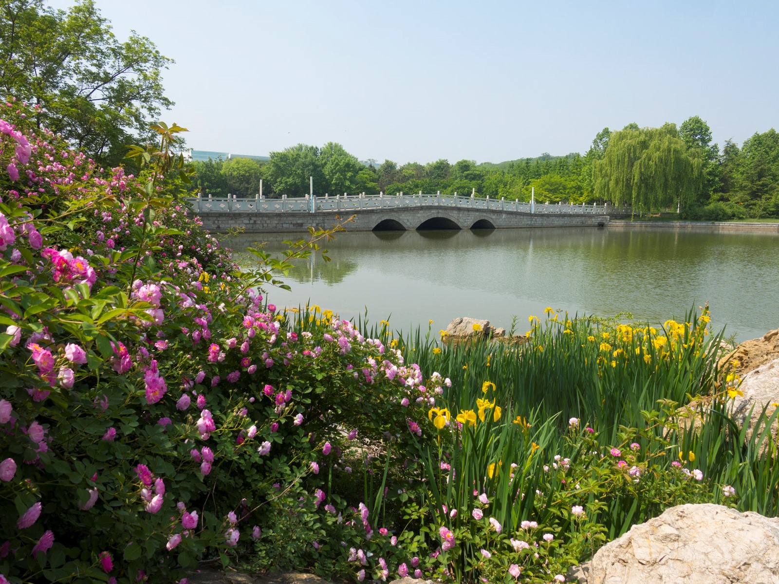 高质量发展：尊龙凯时制药集团新时代药业厂区风景.jpg